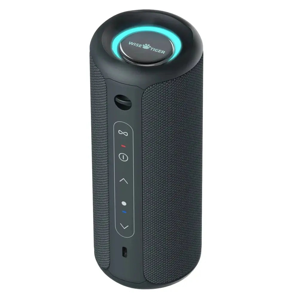 Wisetiger Deeyaple P3 Original Bluetooth Earbuds Wisetiger