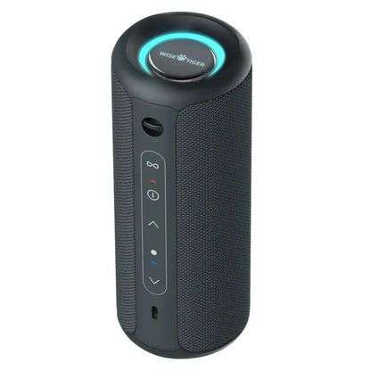 Wisetiger Deeyaple P3 Original Bluetooth Earbuds Wisetiger